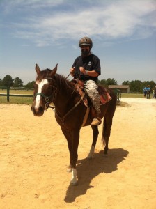 Freedom Reins