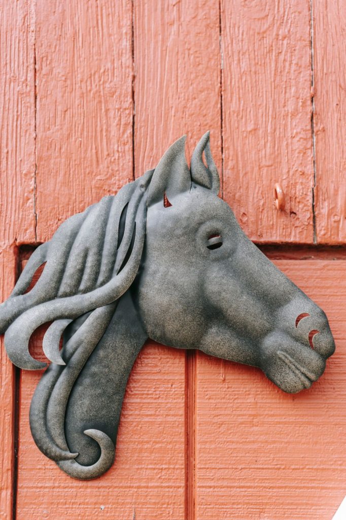 Horse Farm Tour